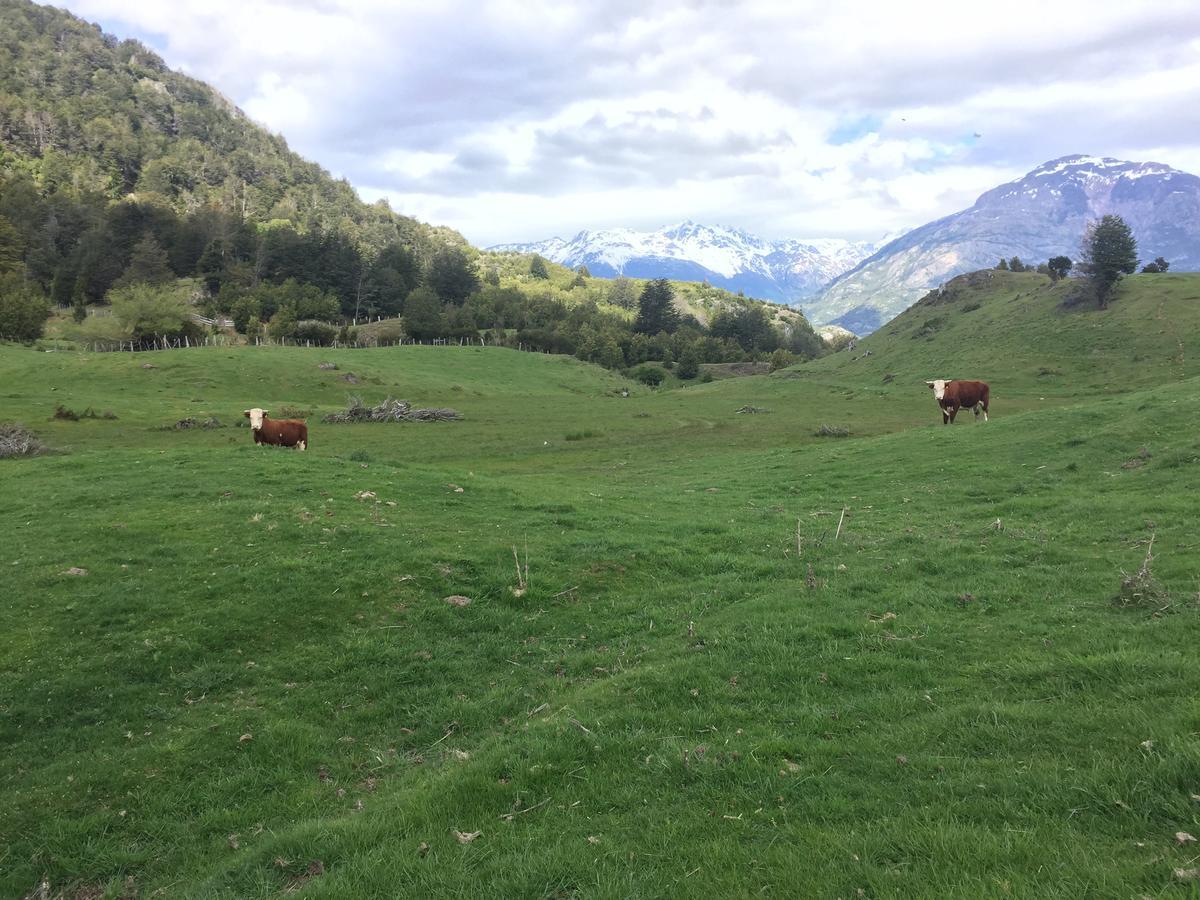 Turismo Rural Los Alpes Futaleufú 외부 사진