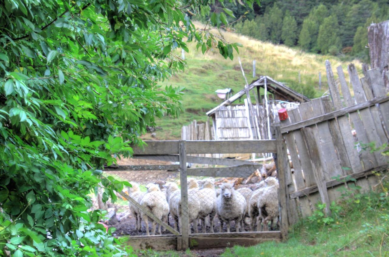 Turismo Rural Los Alpes Futaleufú 외부 사진